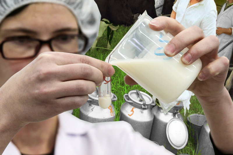 Техрегламент молока: оценка соответствия