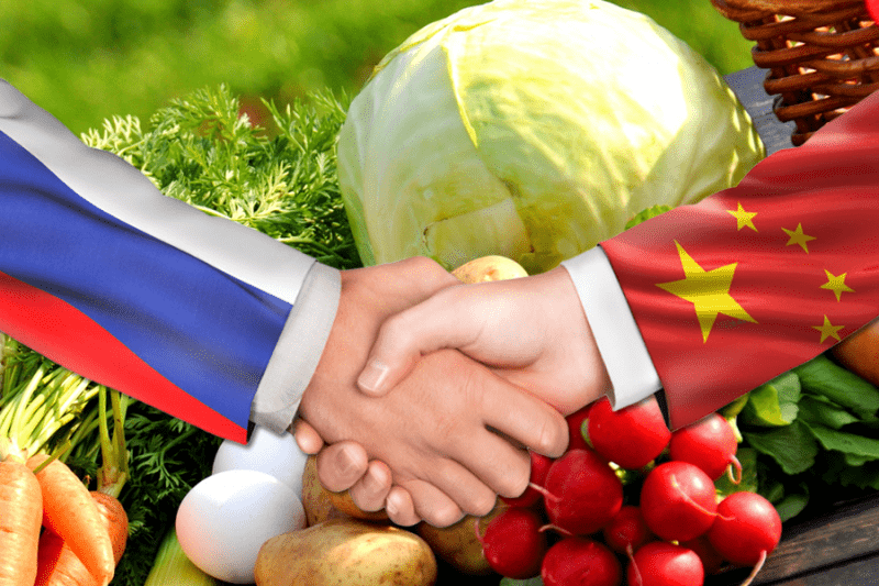 Торгпредство РФ в Китае: приоритет сельхозпродукции