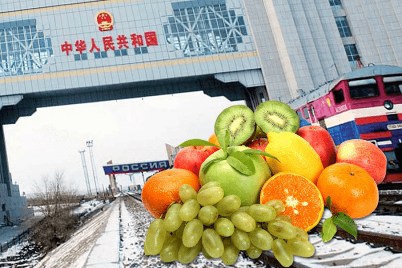 Китайские поставщики увеличили экспорт фруктов в Россию