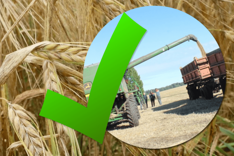 Россию в текущем году ждет рекордный урожай зерновых